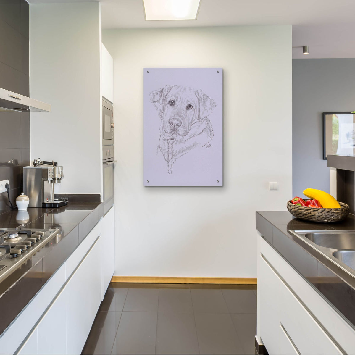 Epic Art 'Labrador' by Barbara Keith, Acrylic Glass Wall Art,24x36
