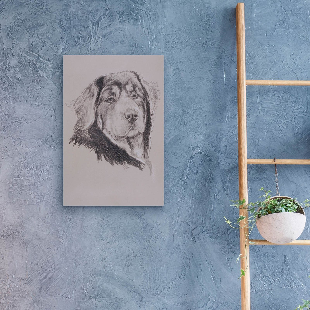 Tibetan Mastiff by Barbara Keith - 16x24 acrylic wall art in a room