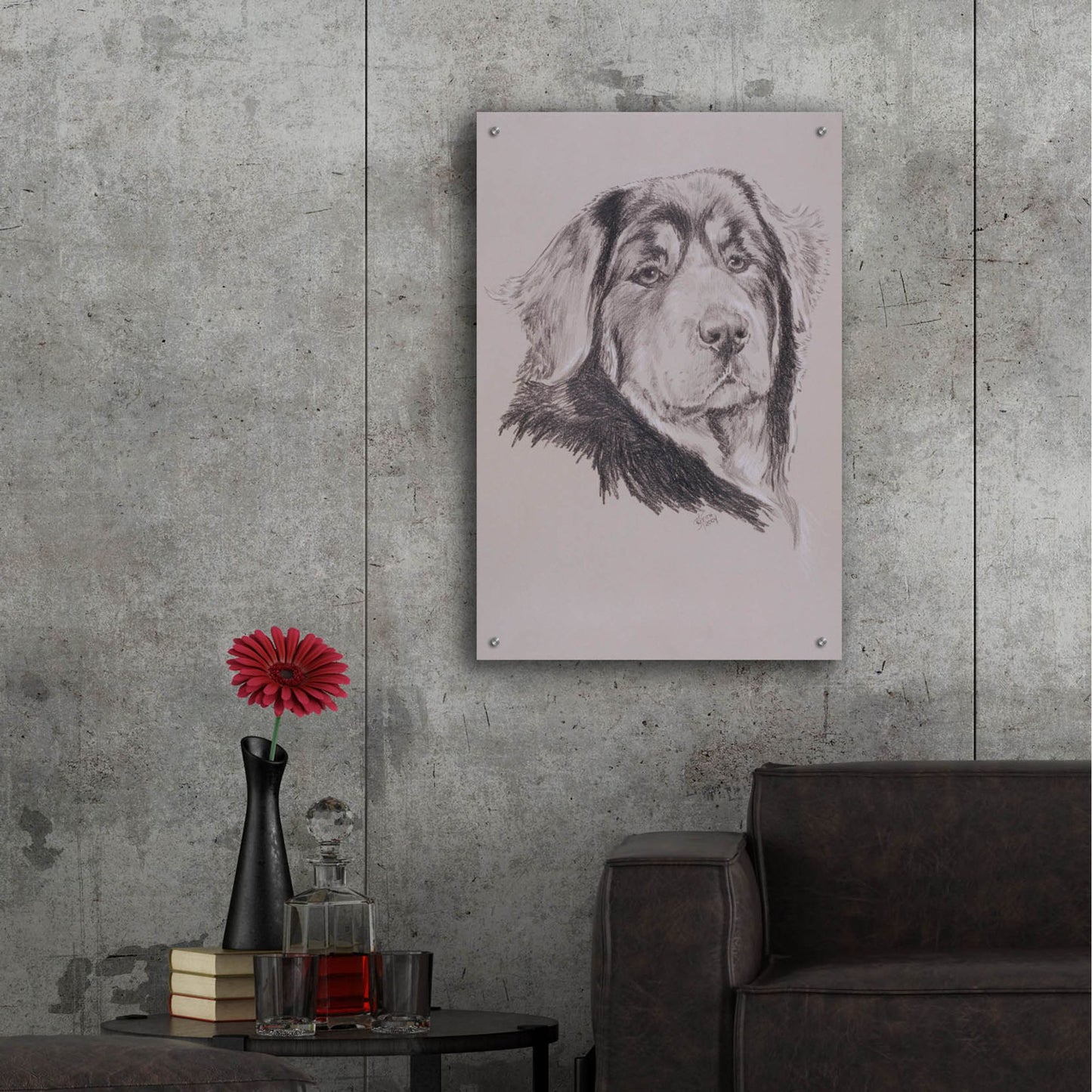 Epic Art 'Tibetan Mastiff' by Barbara Keith, Acrylic Glass Wall Art,24x36