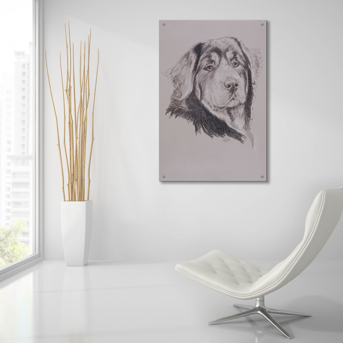 Epic Art 'Tibetan Mastiff' by Barbara Keith, Acrylic Glass Wall Art,24x36