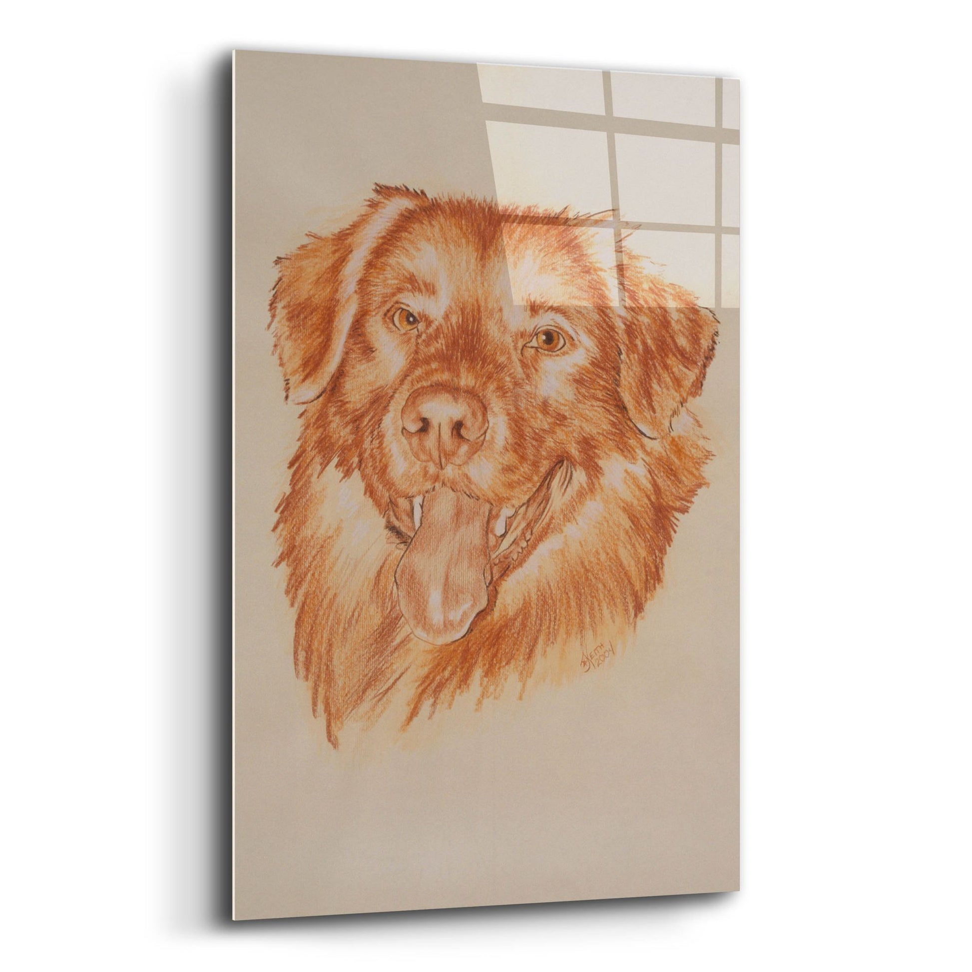 Epic Art 'Golden Retriever' by Barbara Keith, Acrylic Glass Wall Art,12x16