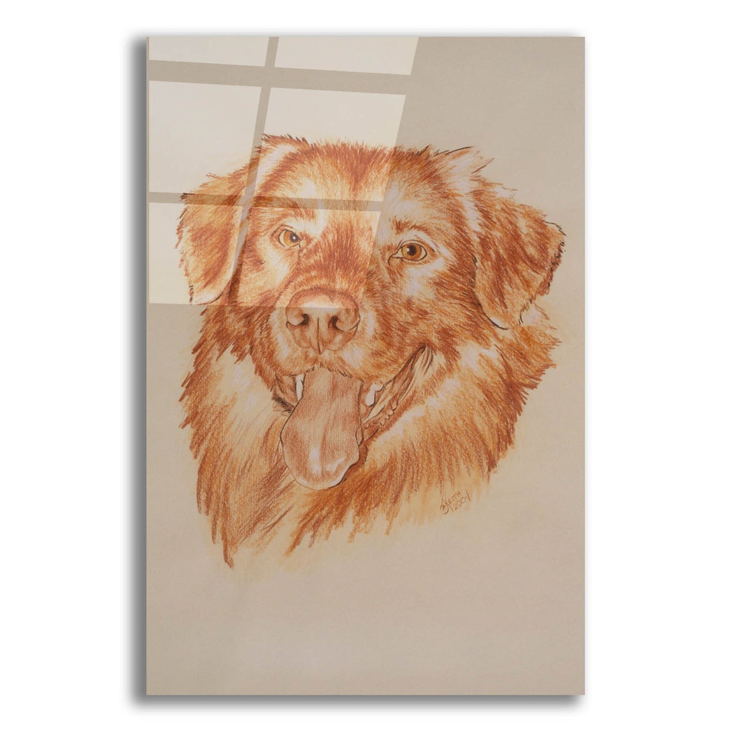 Epic Art 'Golden Retriever' by Barbara Keith, Acrylic Glass Wall Art,12x16