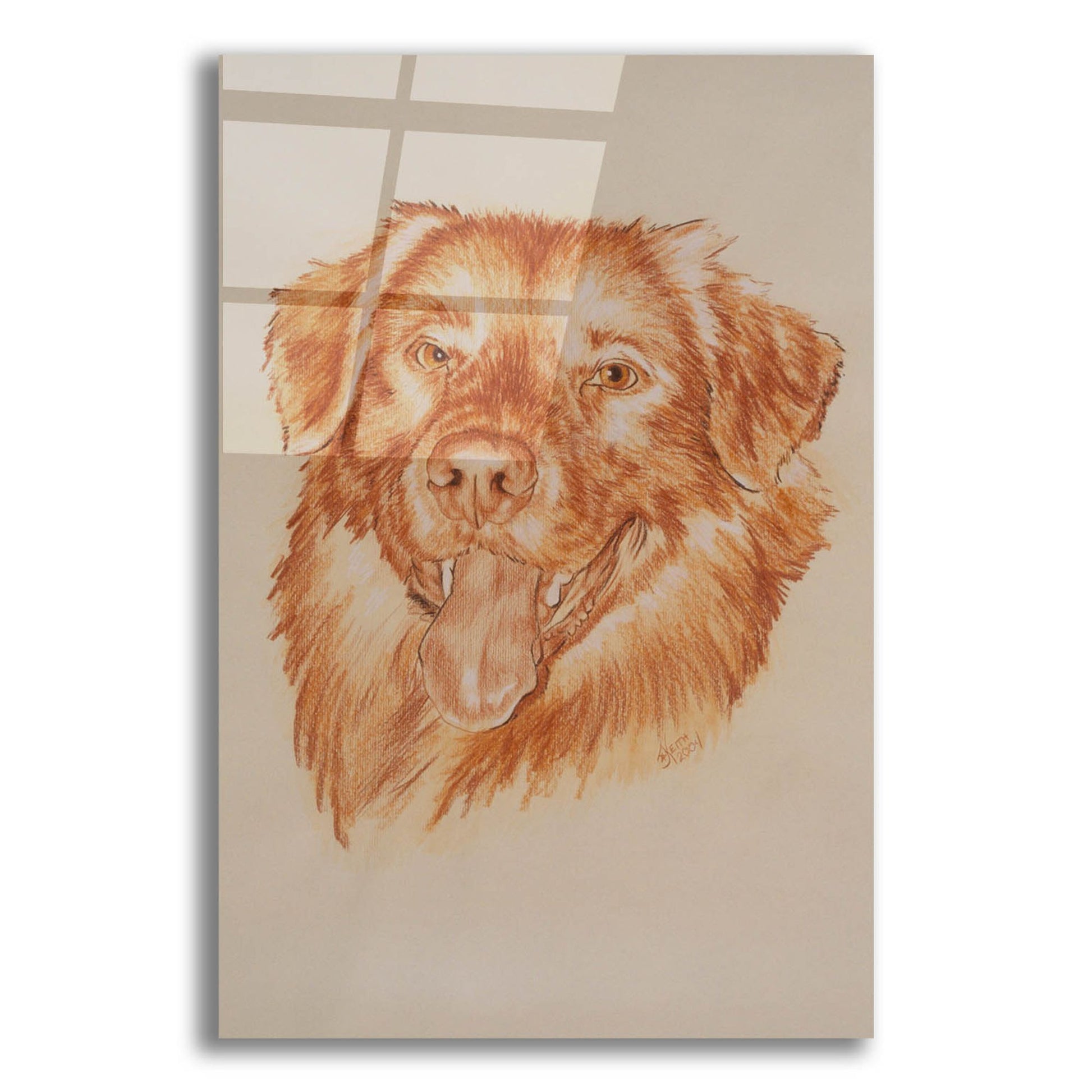 Epic Art 'Golden Retriever' by Barbara Keith, Acrylic Glass Wall Art,16x24