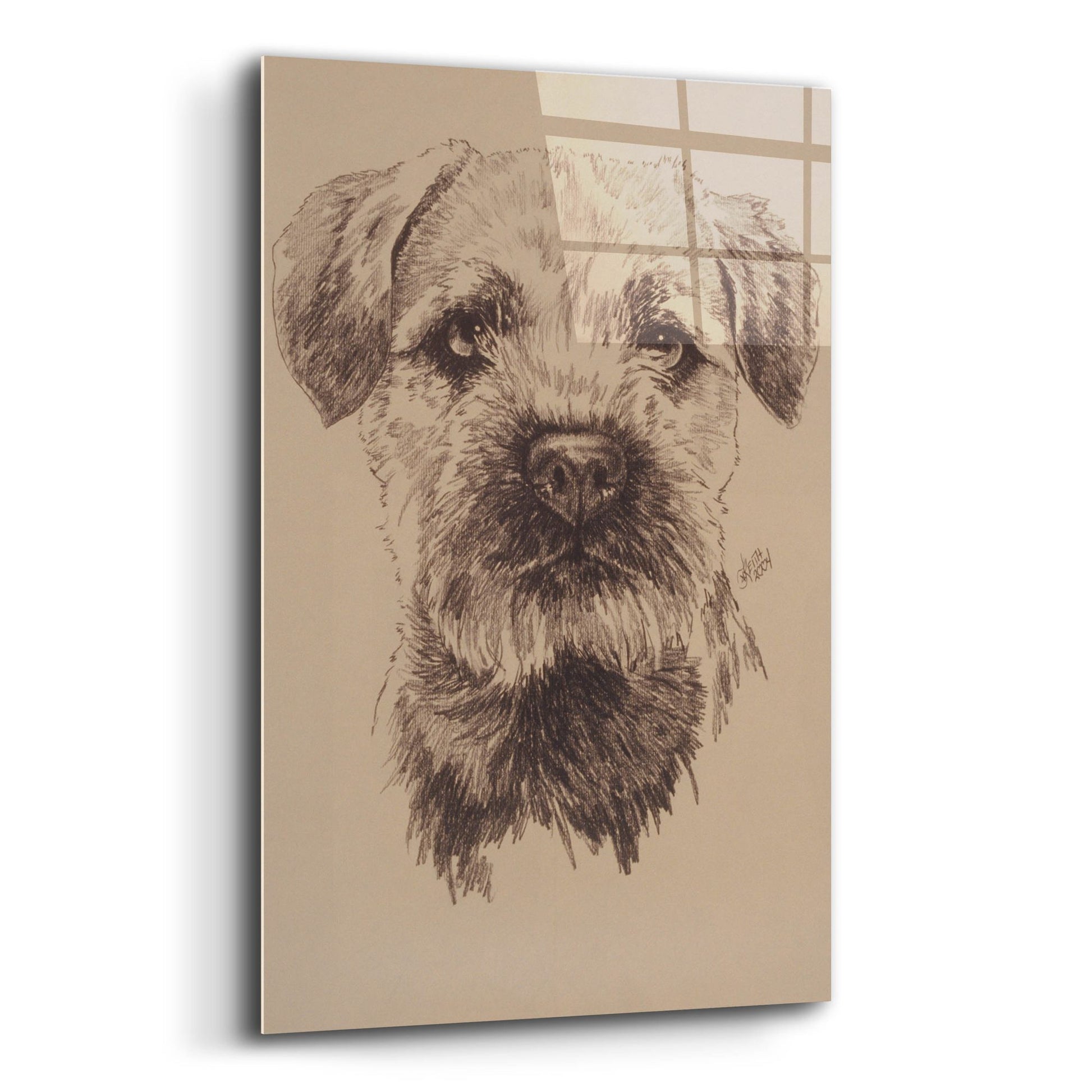 Epic Art 'Border Terrier' by Barbara Keith, Acrylic Glass Wall Art,12x16