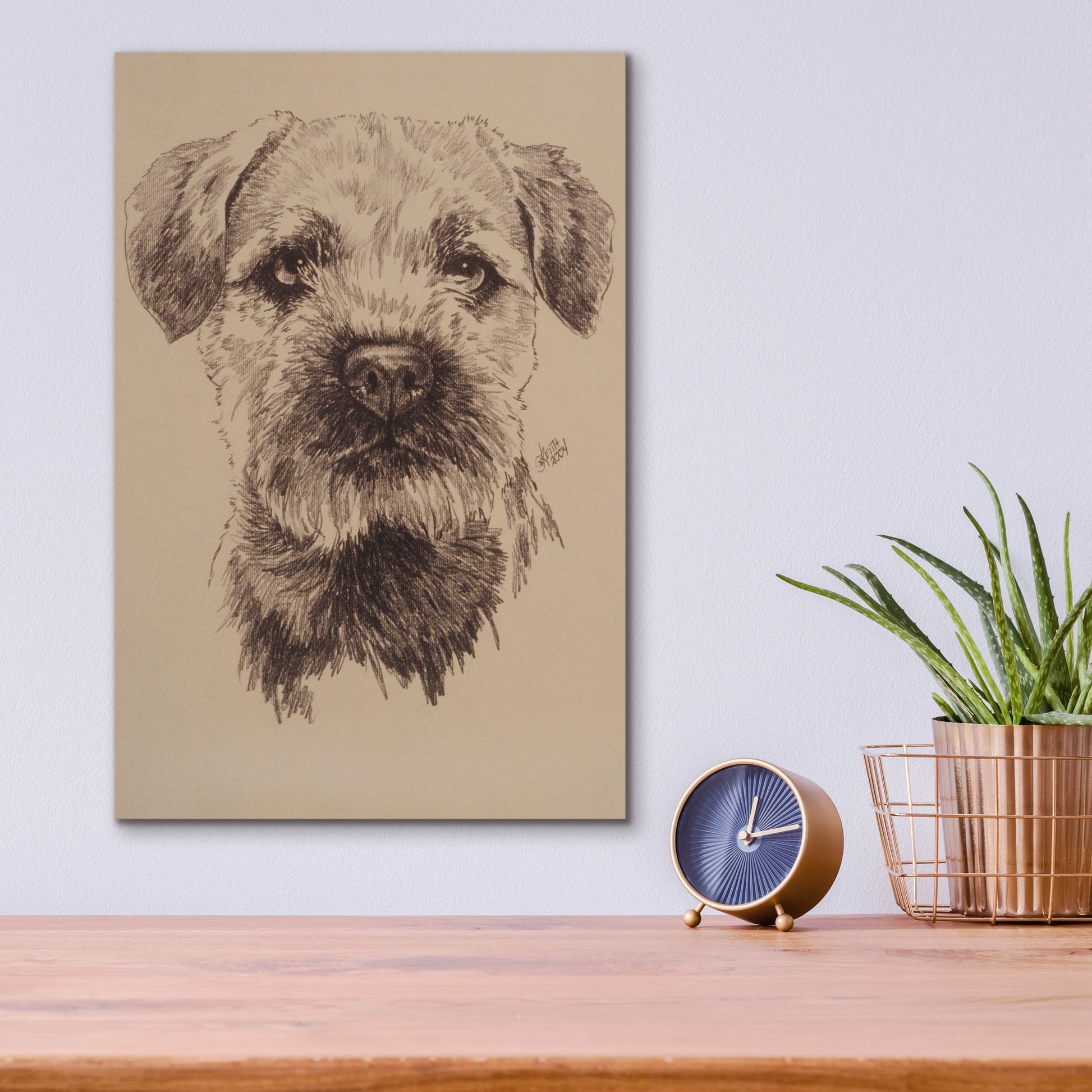 Epic Art 'Border Terrier' by Barbara Keith, Acrylic Glass Wall Art,12x16