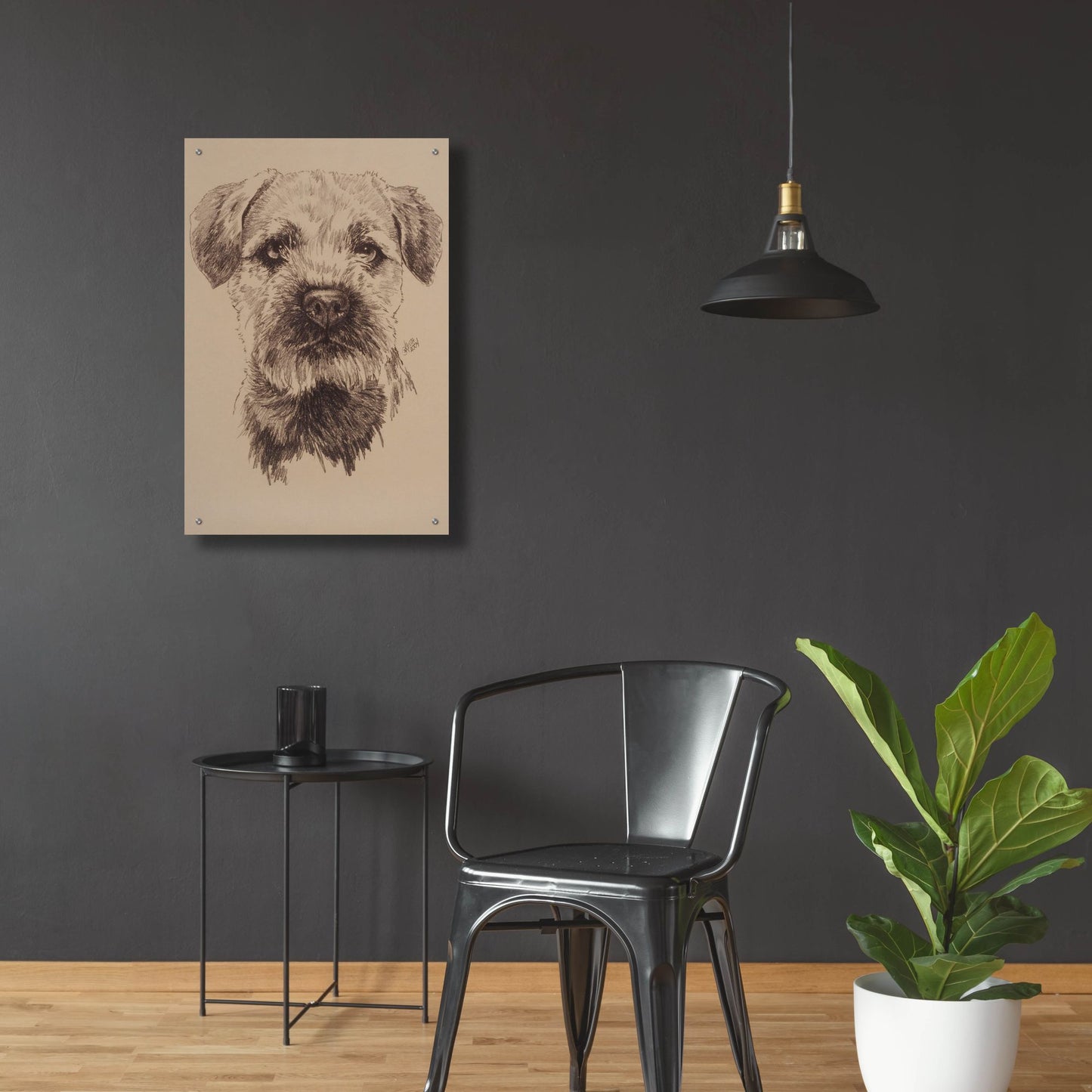 Epic Art 'Border Terrier' by Barbara Keith, Acrylic Glass Wall Art,24x36