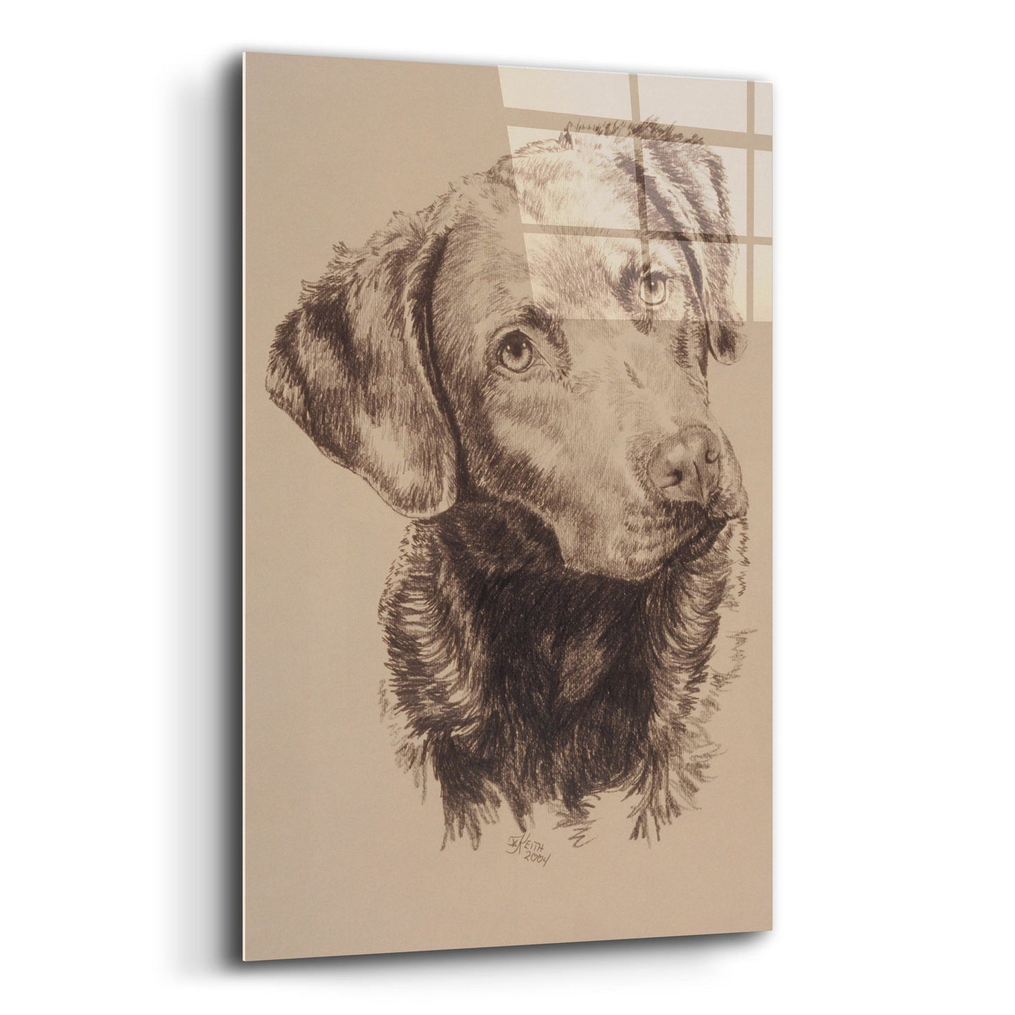 Epic Art 'Chessapeake Bay Retriever' by Barbara Keith, Acrylic Glass Wall Art,12x16