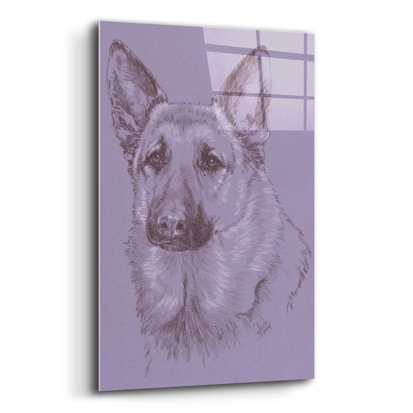 Epic Art 'German Shepherd 1' by Barbara Keith, Acrylic Glass Wall Art,12x16