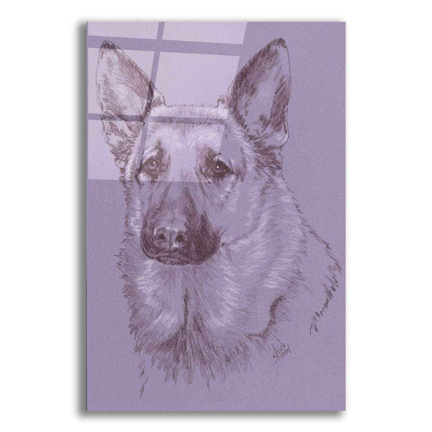 Epic Art 'German Shepherd 1' by Barbara Keith, Acrylic Glass Wall Art,12x16