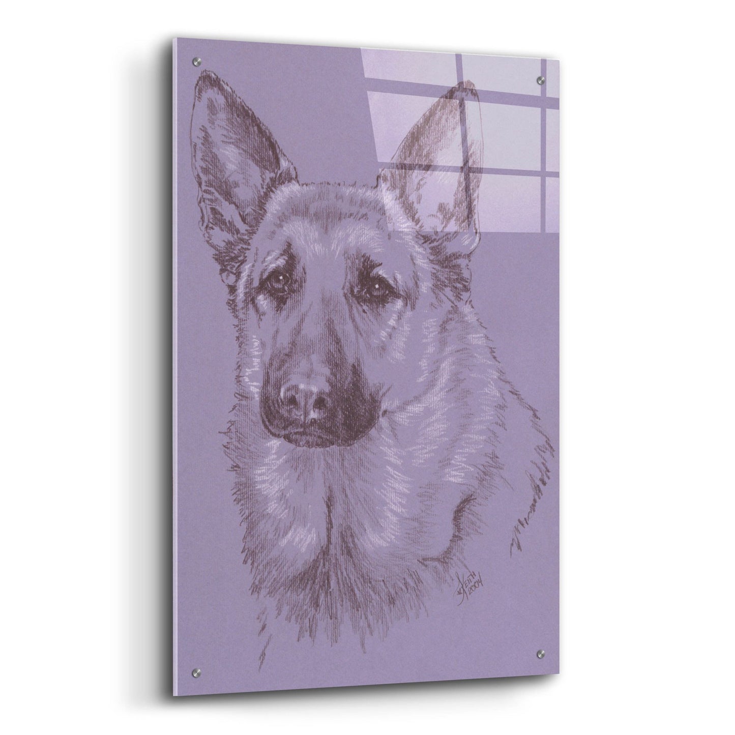 Epic Art 'German Shepherd 1' by Barbara Keith, Acrylic Glass Wall Art,24x36