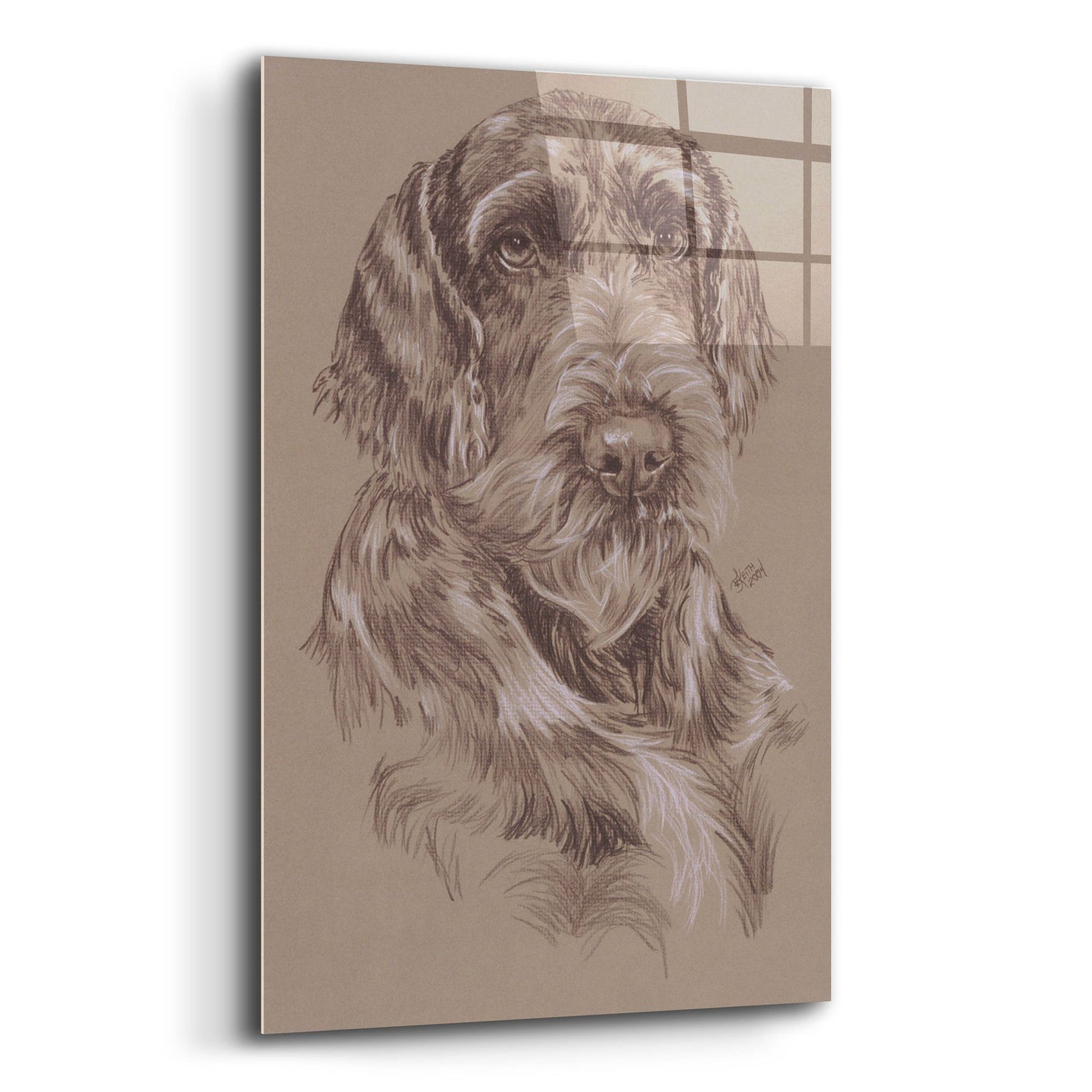 Epic Art 'German Wirehaired Pointer' by Barbara Keith, Acrylic Glass Wall Art,12x16