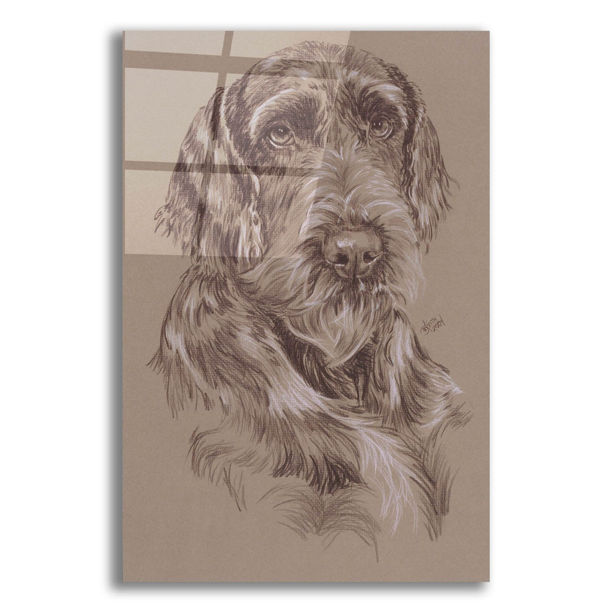 Epic Art 'German Wirehaired Pointer' by Barbara Keith, Acrylic Glass Wall Art,12x16