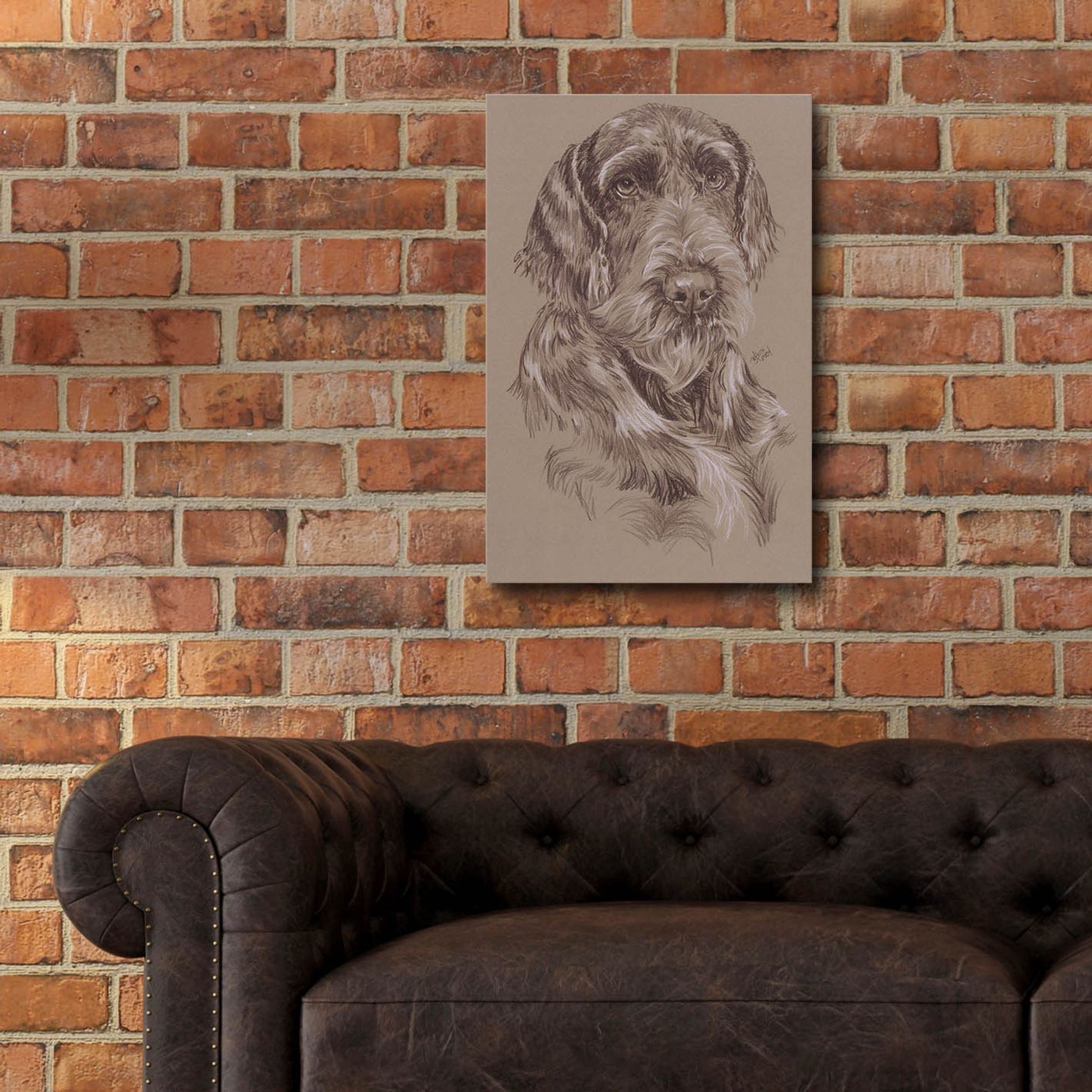 Epic Art 'German Wirehaired Pointer' by Barbara Keith, Acrylic Glass Wall Art,16x24