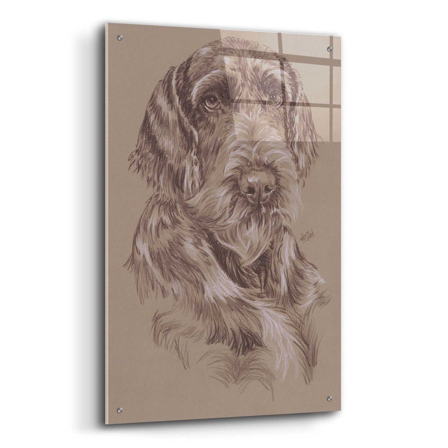 Epic Art 'German Wirehaired Pointer' by Barbara Keith, Acrylic Glass Wall Art,24x36