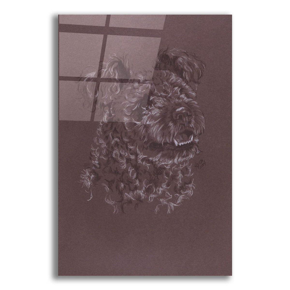 Pumi by Barbara Keith acrylic glass wall art