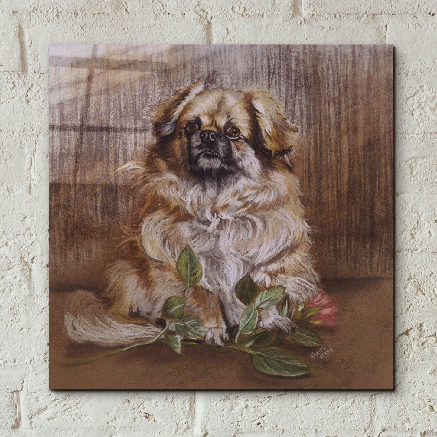 Epic Art 'Tibetan Spaniel 1' by Barbara Keith, Acrylic Glass Wall Art,12x12