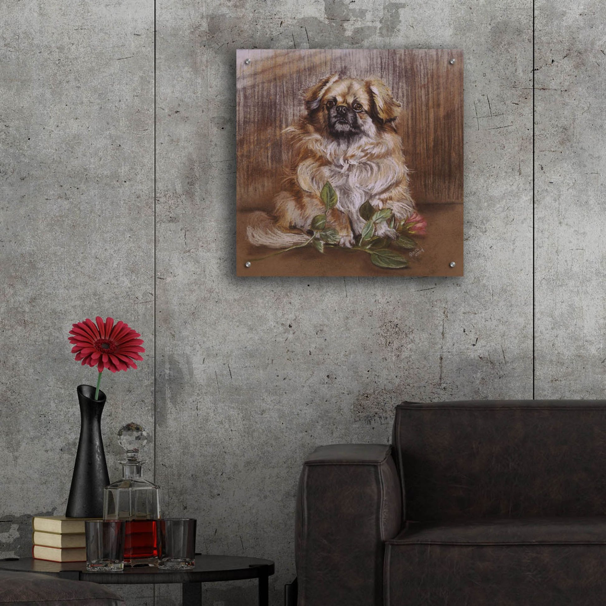 Epic Art 'Tibetan Spaniel 1' by Barbara Keith, Acrylic Glass Wall Art,24x24