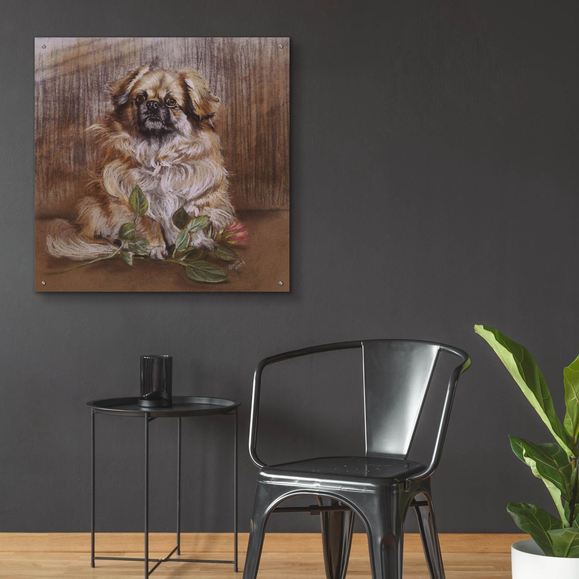 Epic Art 'Tibetan Spaniel 1' by Barbara Keith, Acrylic Glass Wall Art,36x36