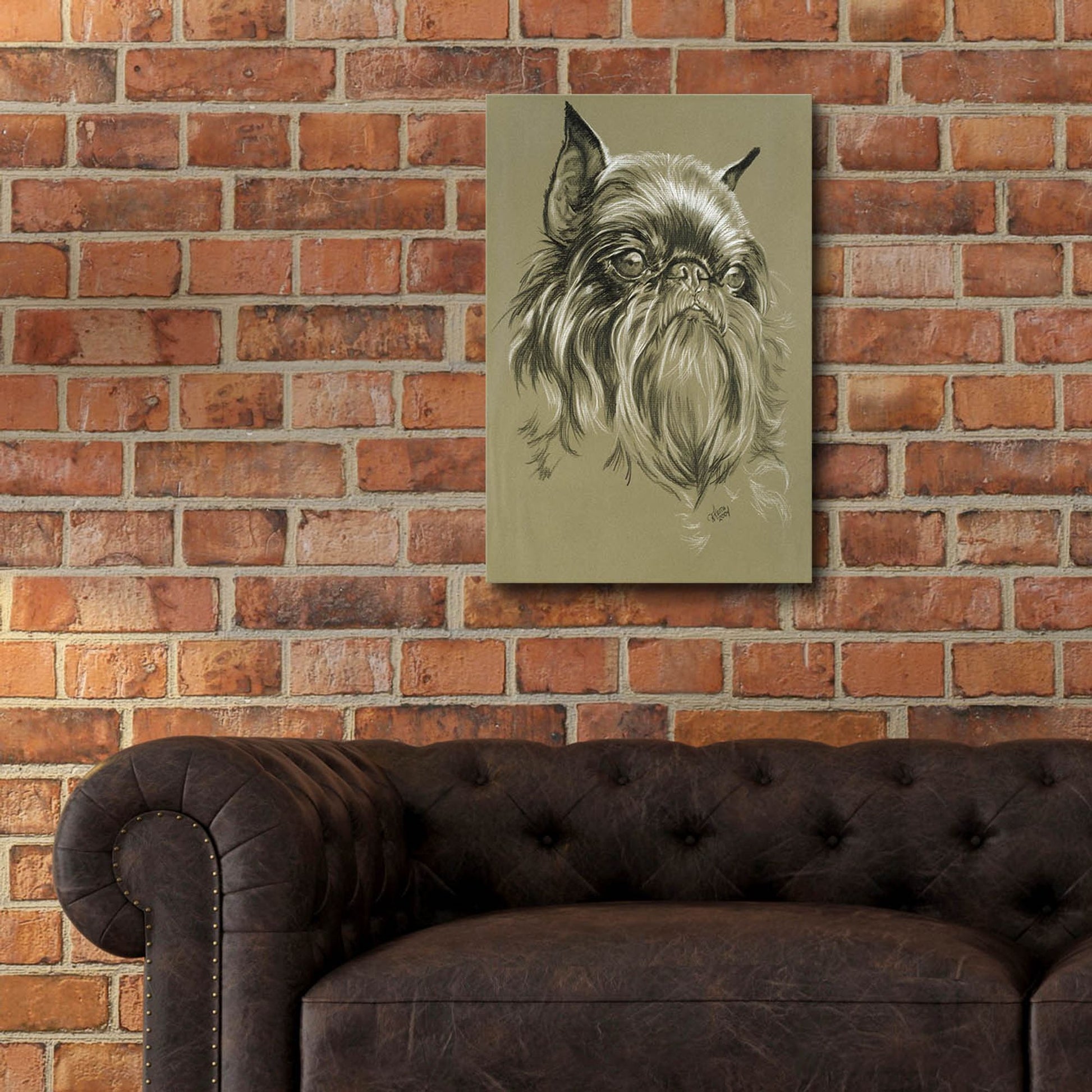 Epic Art 'Belgian Griffon' by Barbara Keith, Acrylic Glass Wall Art,16x24