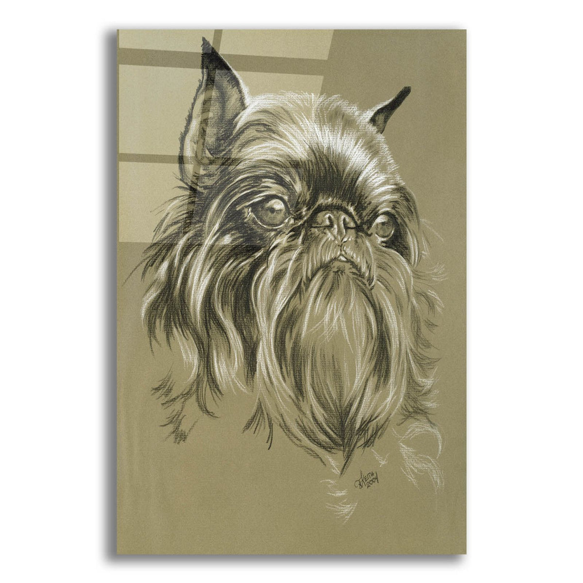 Belgian Griffon by Barbara Keith acrylic glass wall art