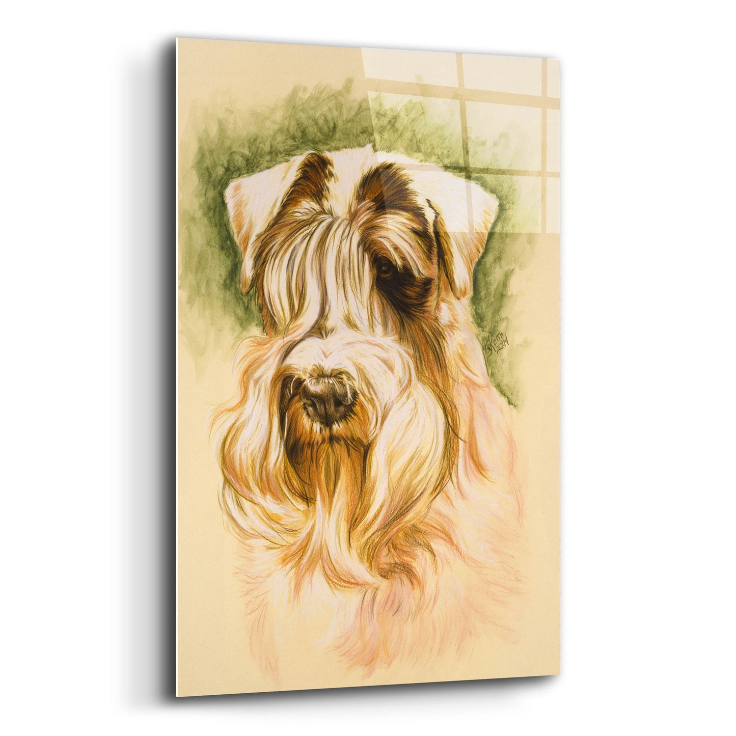 Epic Art 'Sealyham Terrier' by Barbara Keith, Acrylic Glass Wall Art,12x16