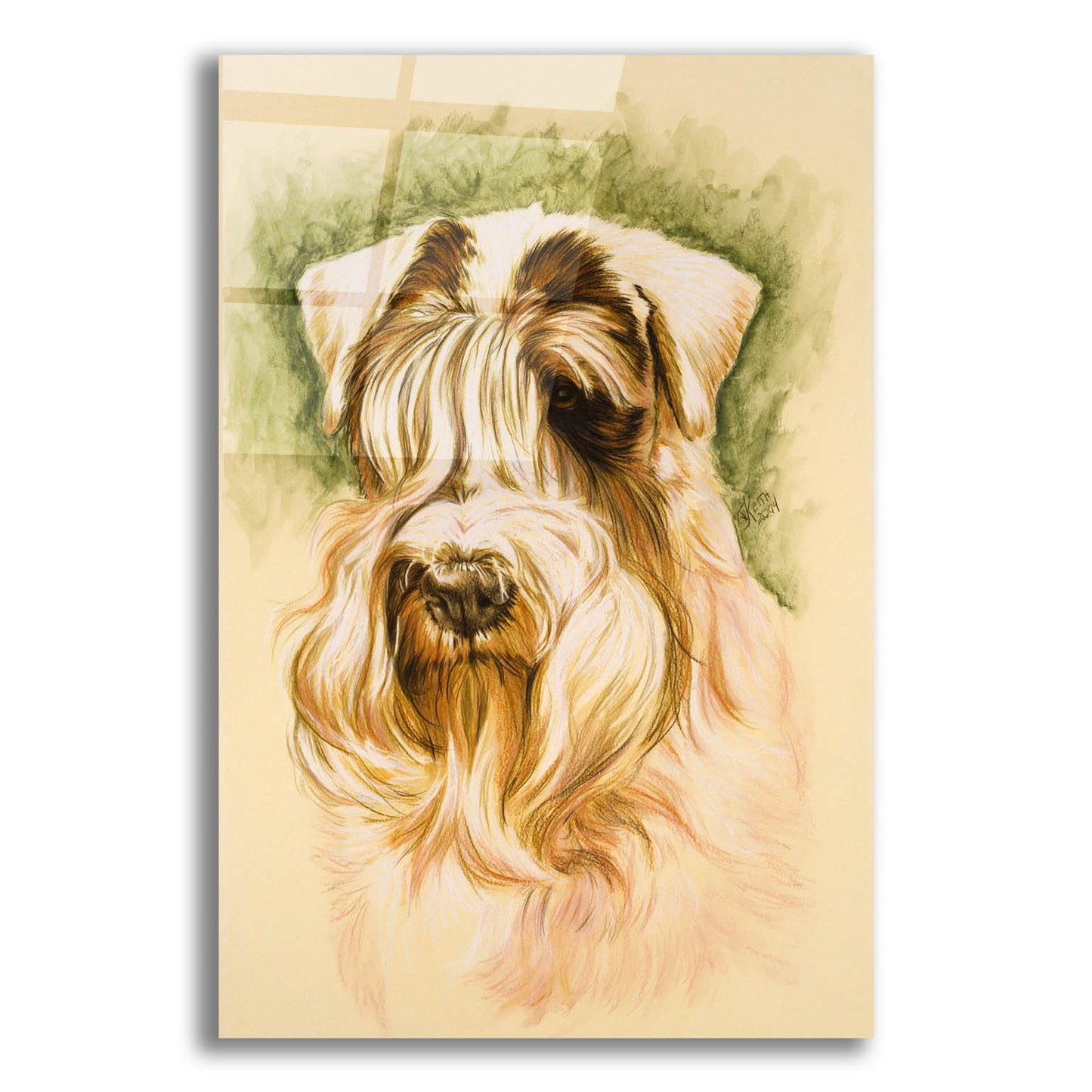 Epic Art 'Sealyham Terrier' by Barbara Keith, Acrylic Glass Wall Art,12x16