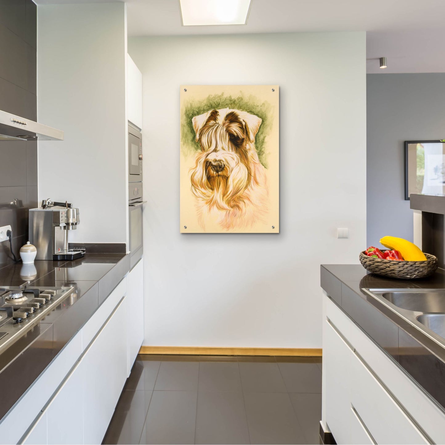 Epic Art 'Sealyham Terrier' by Barbara Keith, Acrylic Glass Wall Art,24x36