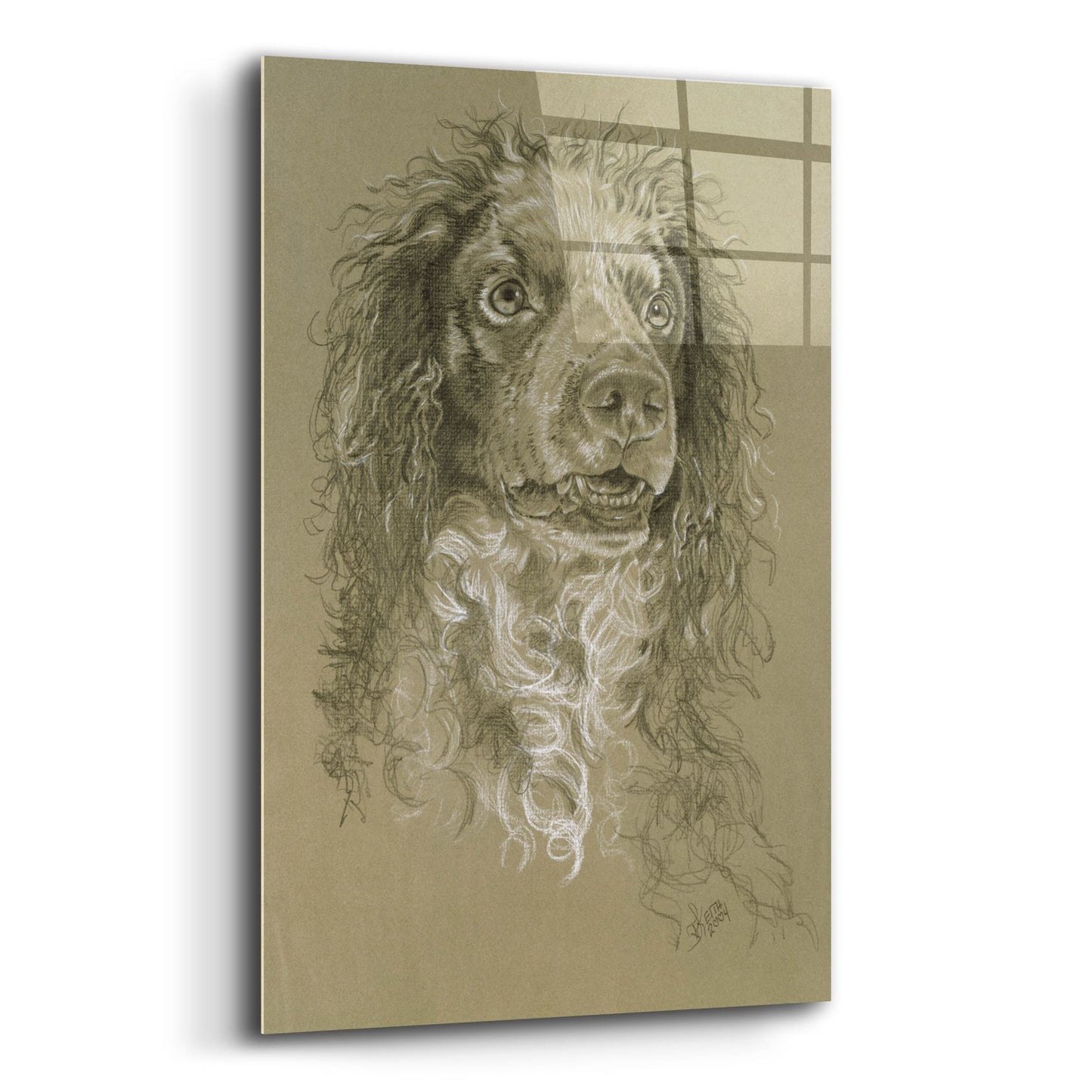 Epic Art 'Point-Audemer Spaniel' by Barbara Keith, Acrylic Glass Wall Art,12x16