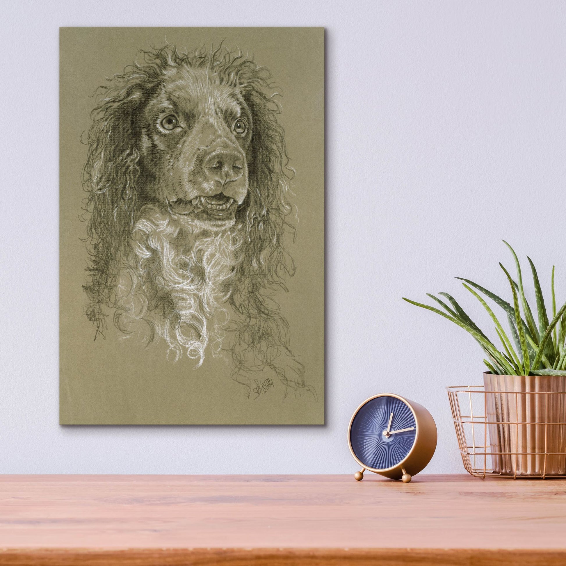 Epic Art 'Point-Audemer Spaniel' by Barbara Keith, Acrylic Glass Wall Art,12x16