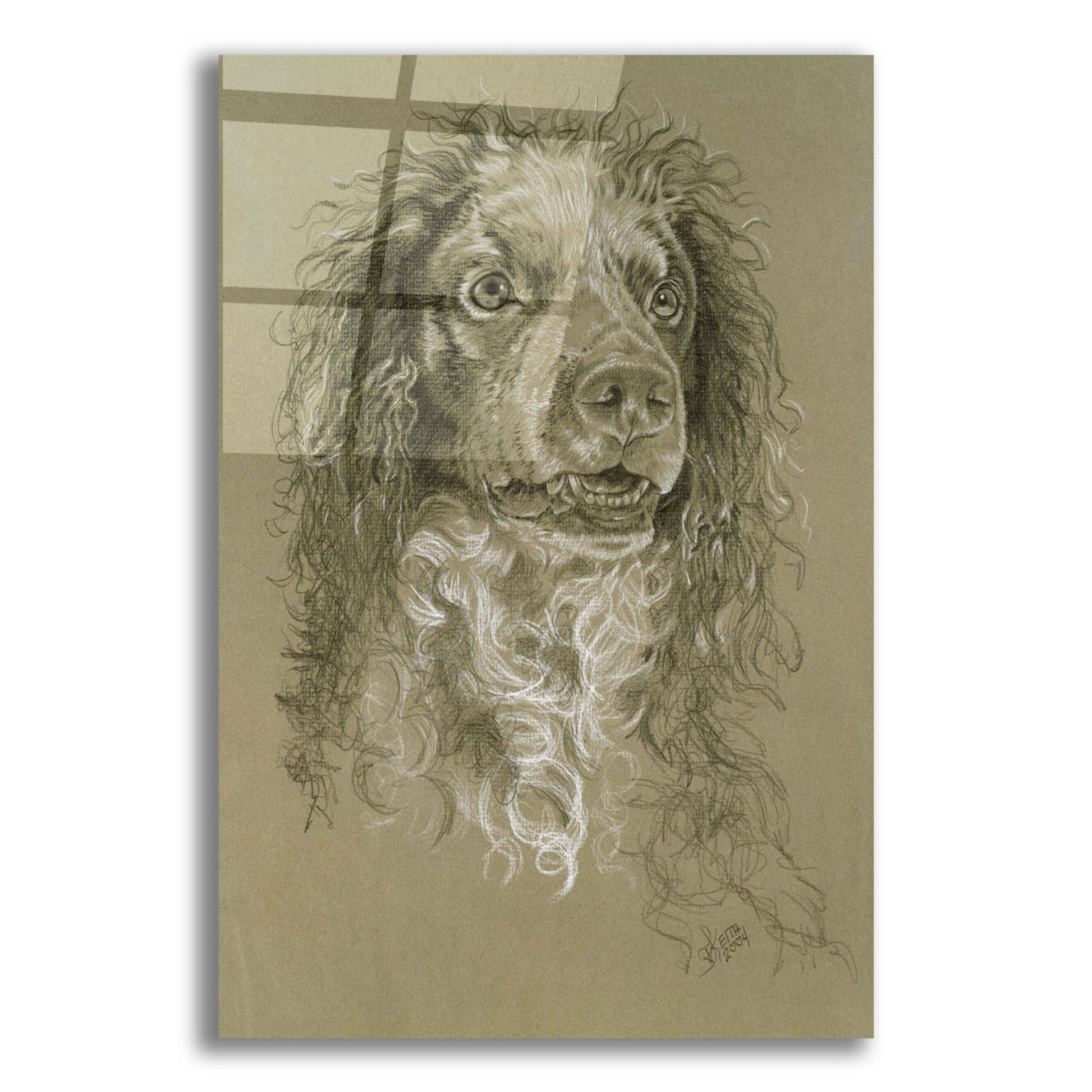 Epic Art 'Point-Audemer Spaniel' by Barbara Keith, Acrylic Glass Wall Art,12x16