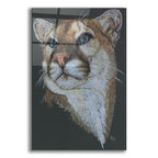 Intense by Barbara Keith acrylic glass wall art