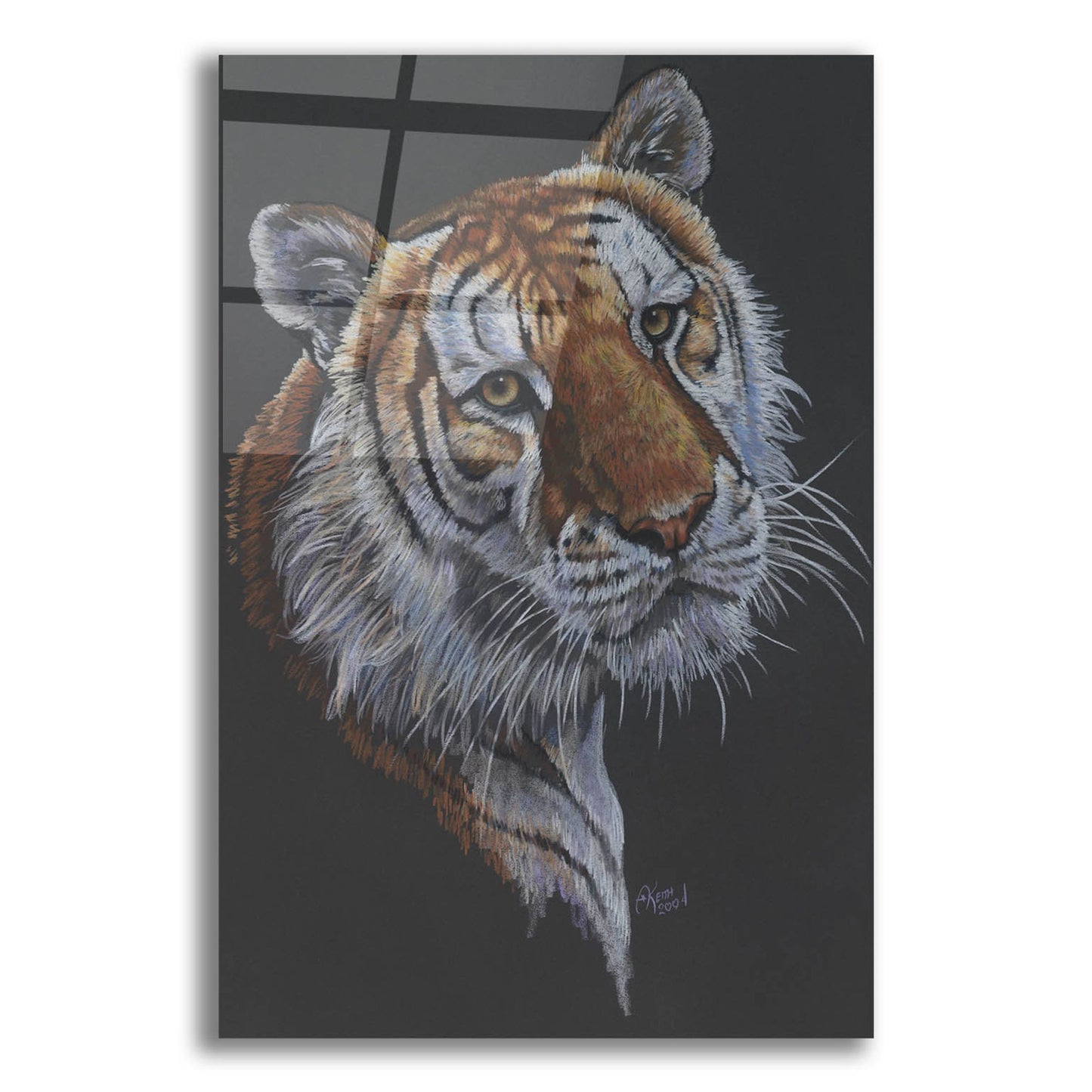 Epic Art 'Shere Khan' by Barbara Keith, Acrylic Glass Wall Art,12x16