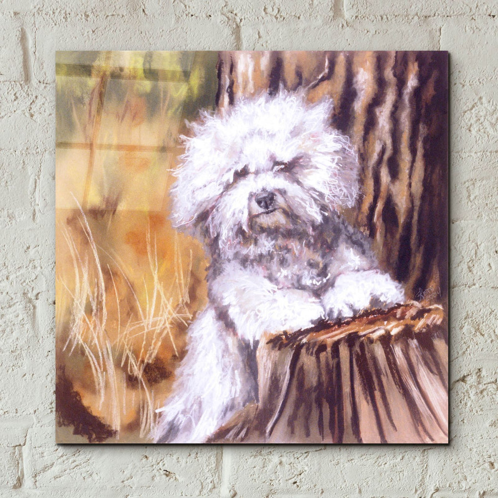 About That Haircut! by Barbara Keith - 12x12 acrylic wall art in a room