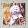 About That Haircut! by Barbara Keith - 12x12 acrylic wall art in a room
