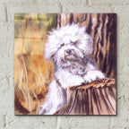 About That Haircut! by Barbara Keith - 12x12 acrylic wall art in a room