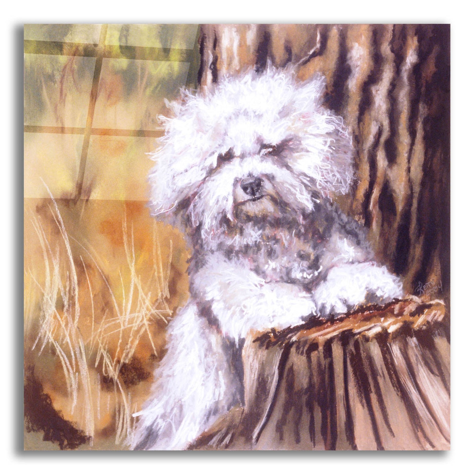 Epic Art 'About That Haircut!' by Barbara Keith, Acrylic Glass Wall Art,12x12