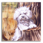 About That Haircut! by Barbara Keith acrylic glass wall art