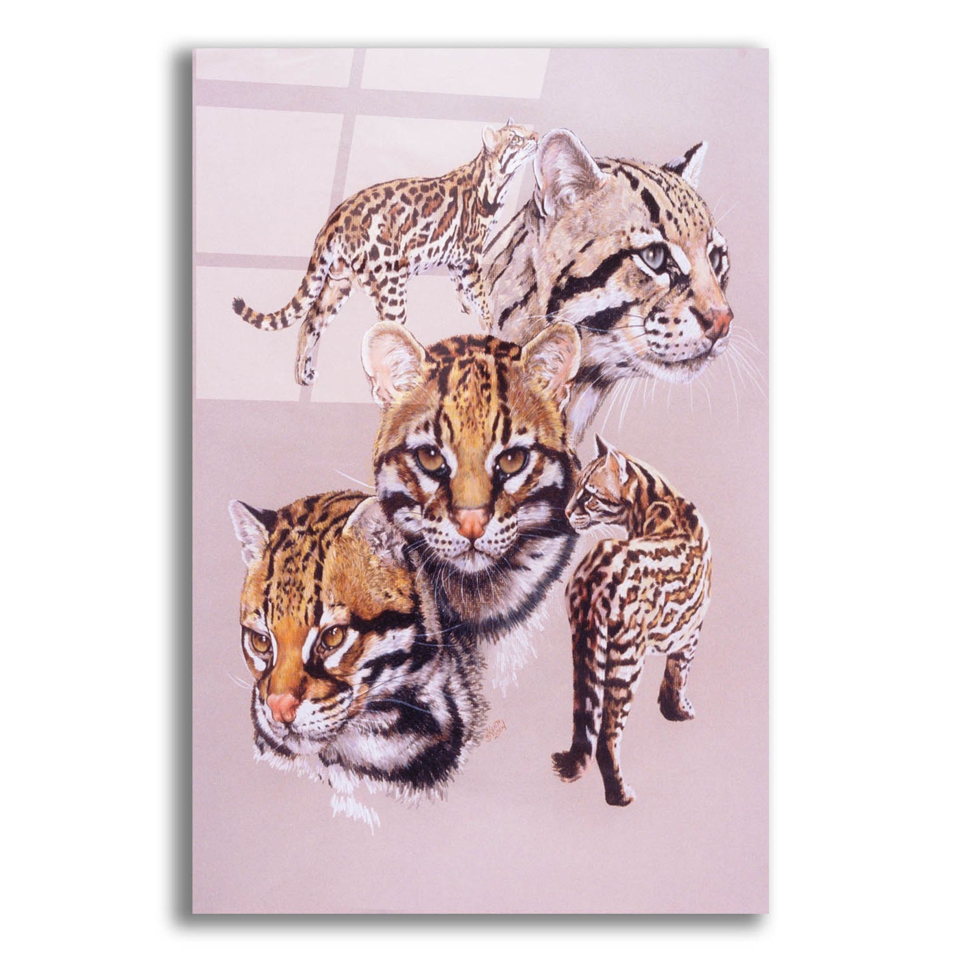 Epic Art 'Ocelot' by Barbara Keith, Acrylic Glass Wall Art,12x16