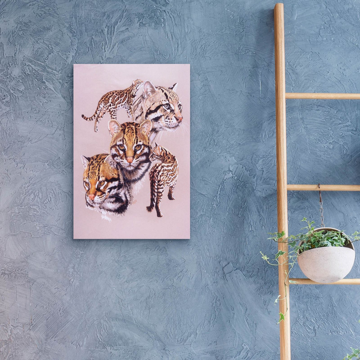 Ocelot by Barbara Keith - 16x24 acrylic wall art in a room