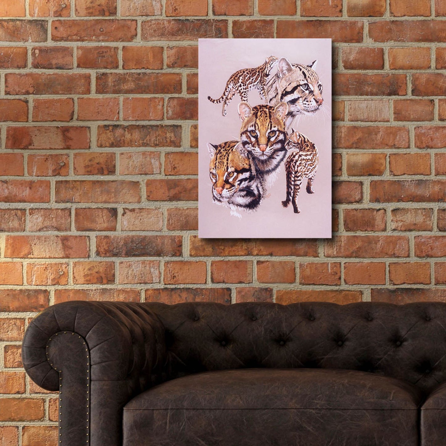 Epic Art 'Ocelot' by Barbara Keith, Acrylic Glass Wall Art,16x24