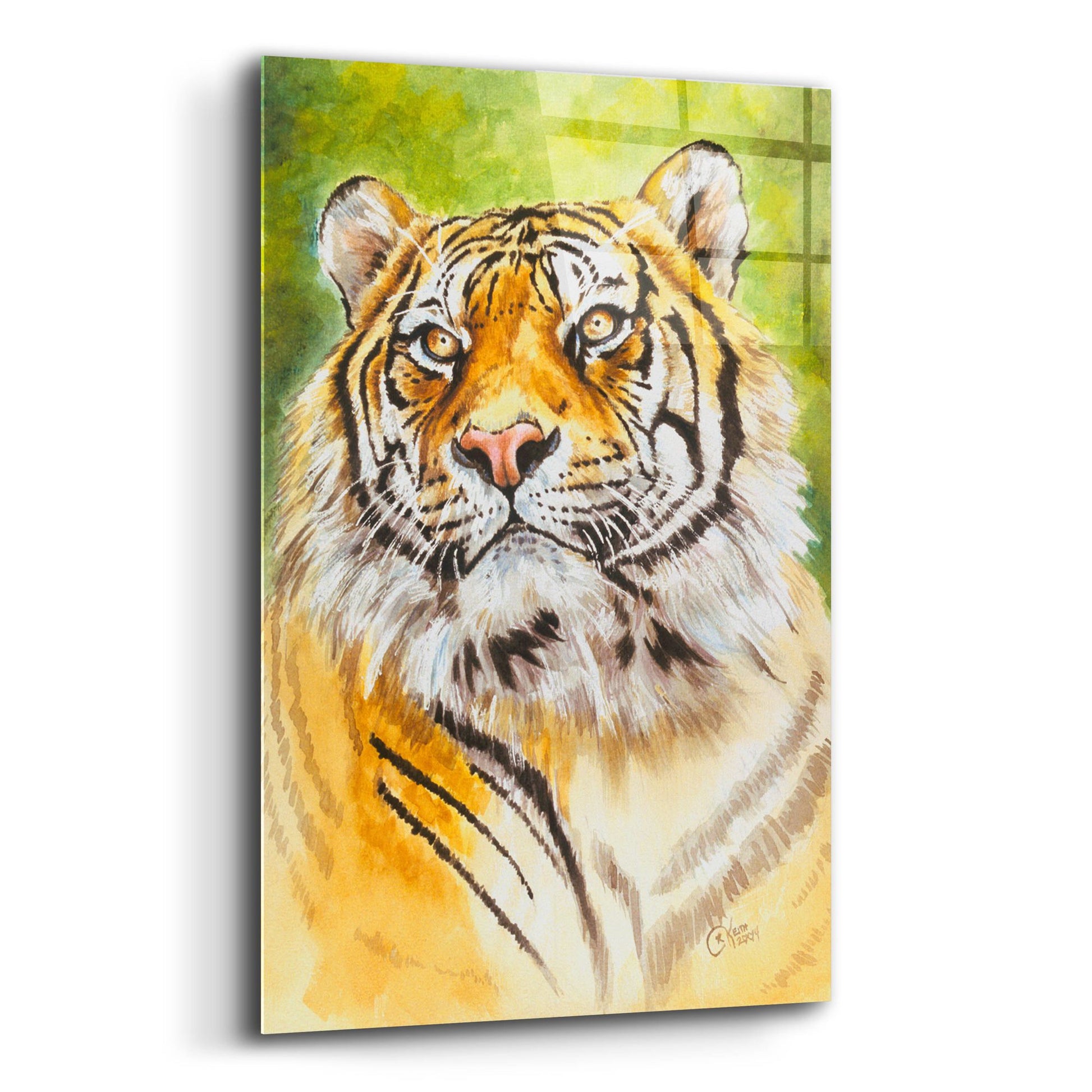 Epic Art 'Sumatran Tiger' by Barbara Keith, Acrylic Glass Wall Art,12x16