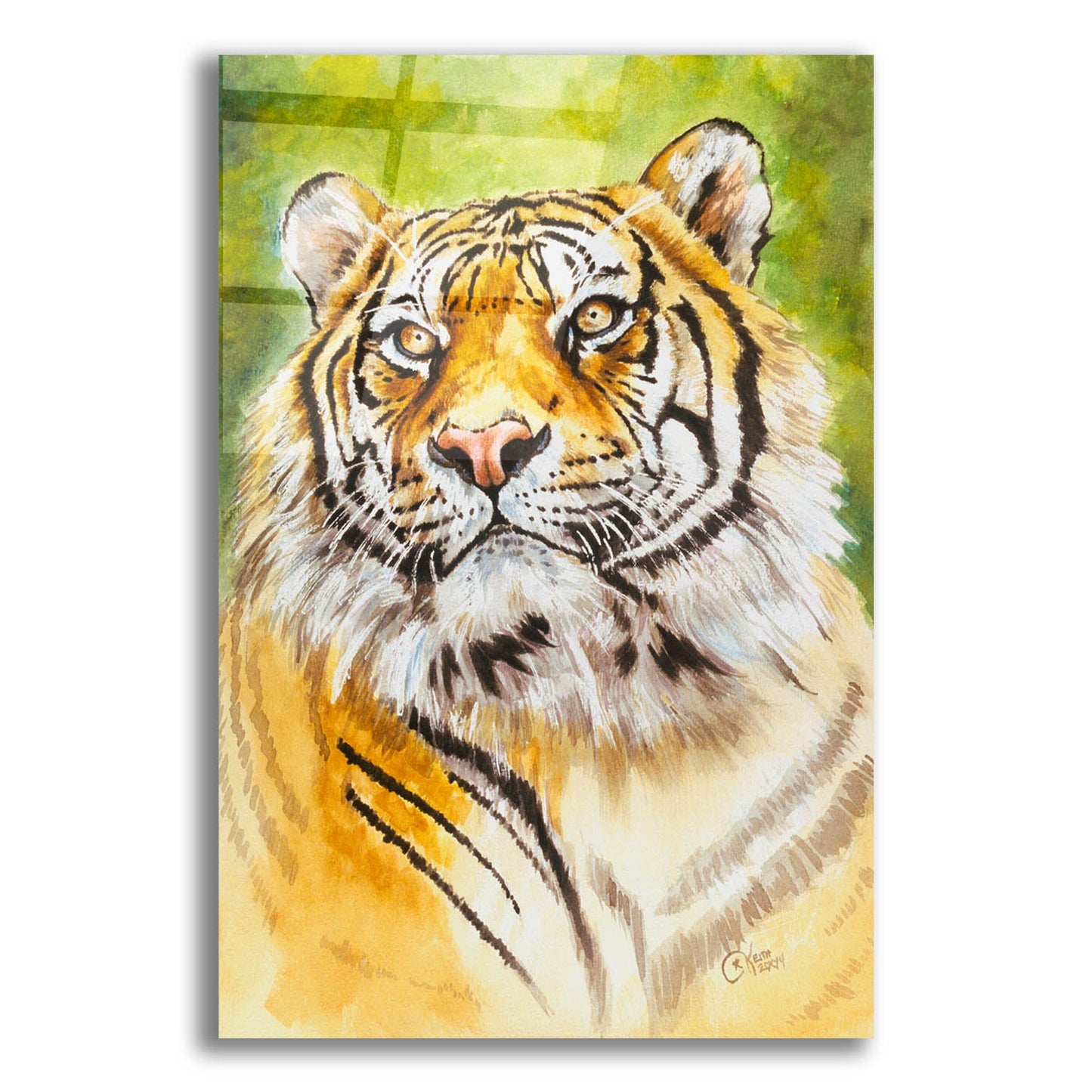 Epic Art 'Sumatran Tiger' by Barbara Keith, Acrylic Glass Wall Art,12x16