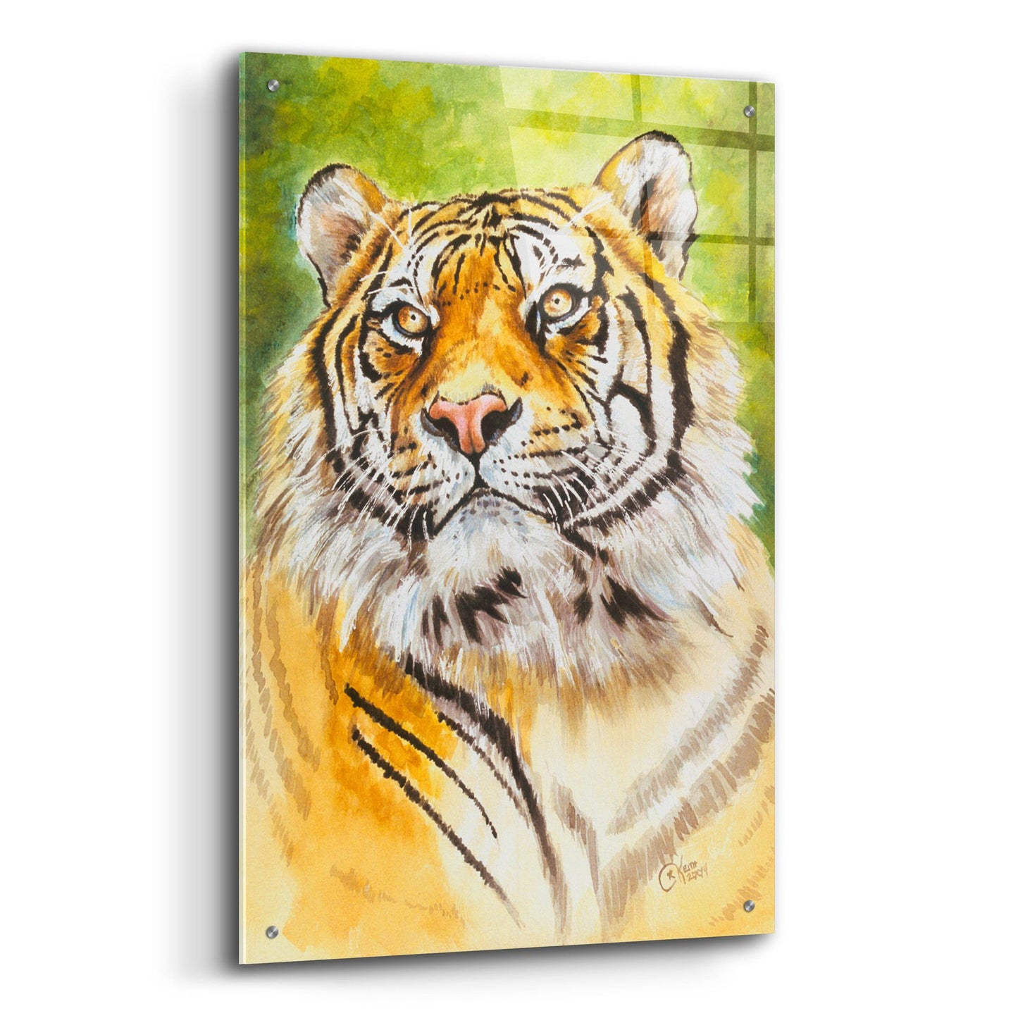 Epic Art 'Sumatran Tiger' by Barbara Keith, Acrylic Glass Wall Art,24x36