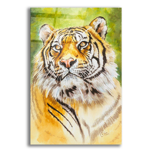 Epic Art 'Sumatran Tiger' by Barbara Keith, Acrylic Glass Wall Art