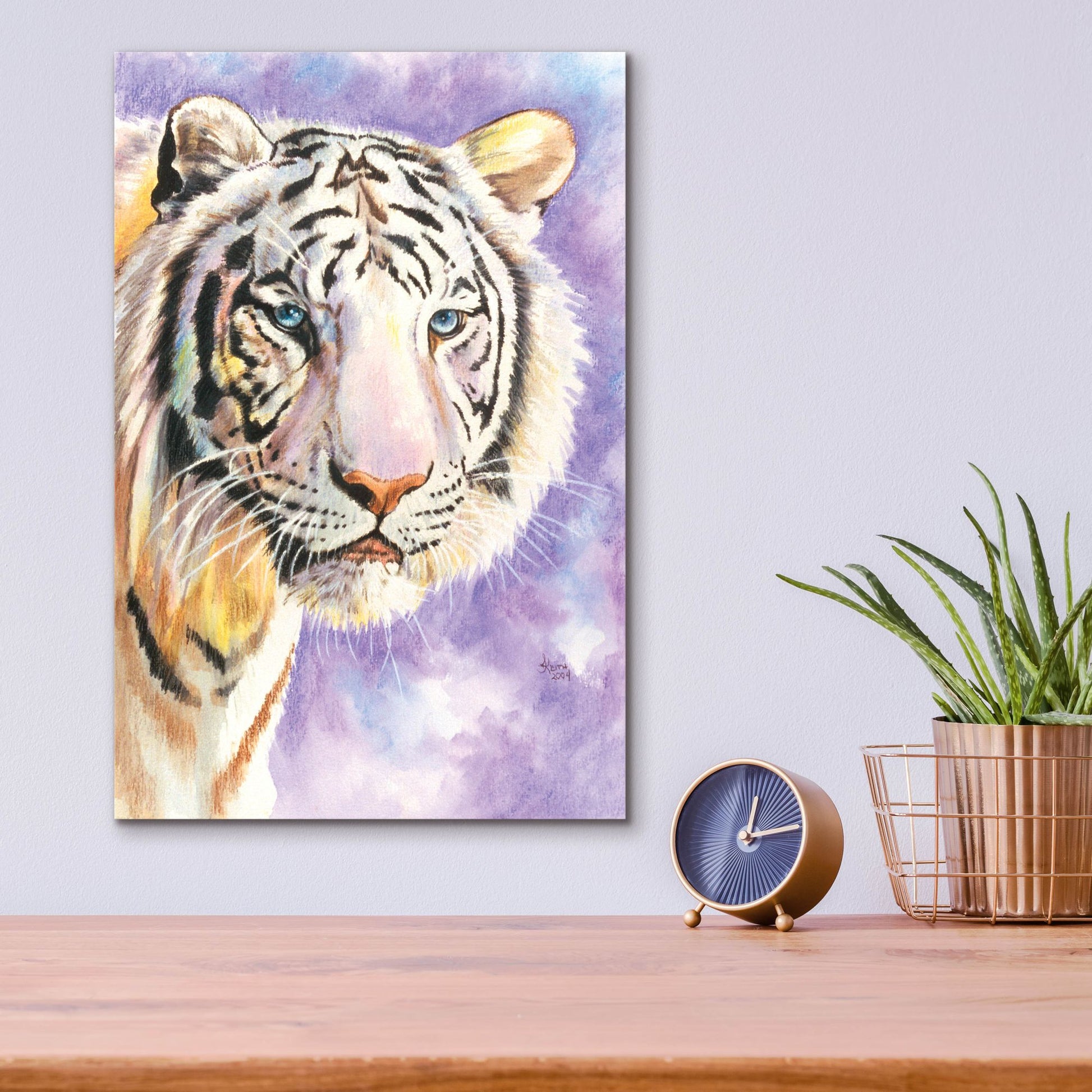 Epic Art 'White Tiger' by Barbara Keith, Acrylic Glass Wall Art,12x16