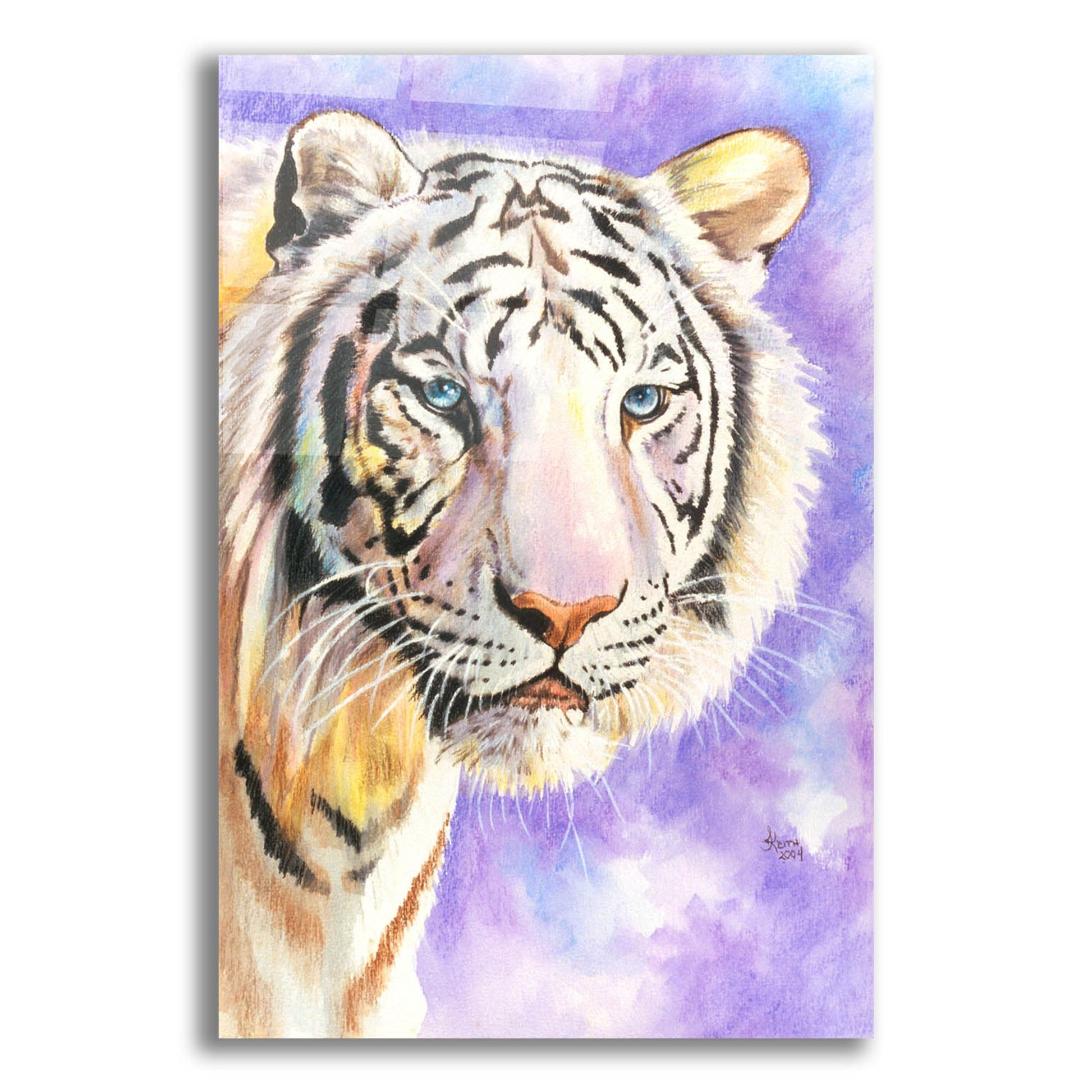 Epic Art 'White Tiger' by Barbara Keith, Acrylic Glass Wall Art,12x16