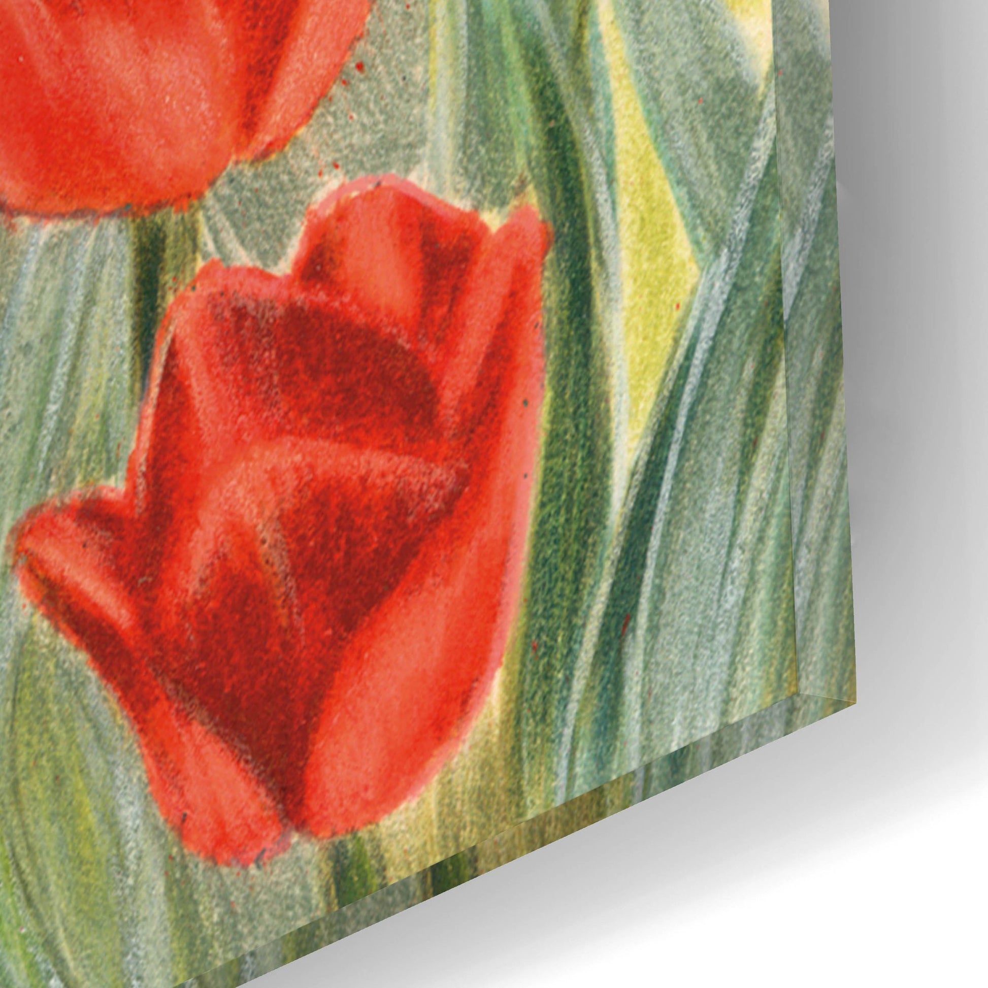 Epic Art 'Dachsund In Tulips' by Barbara Keith, Acrylic Glass Wall Art,12x16