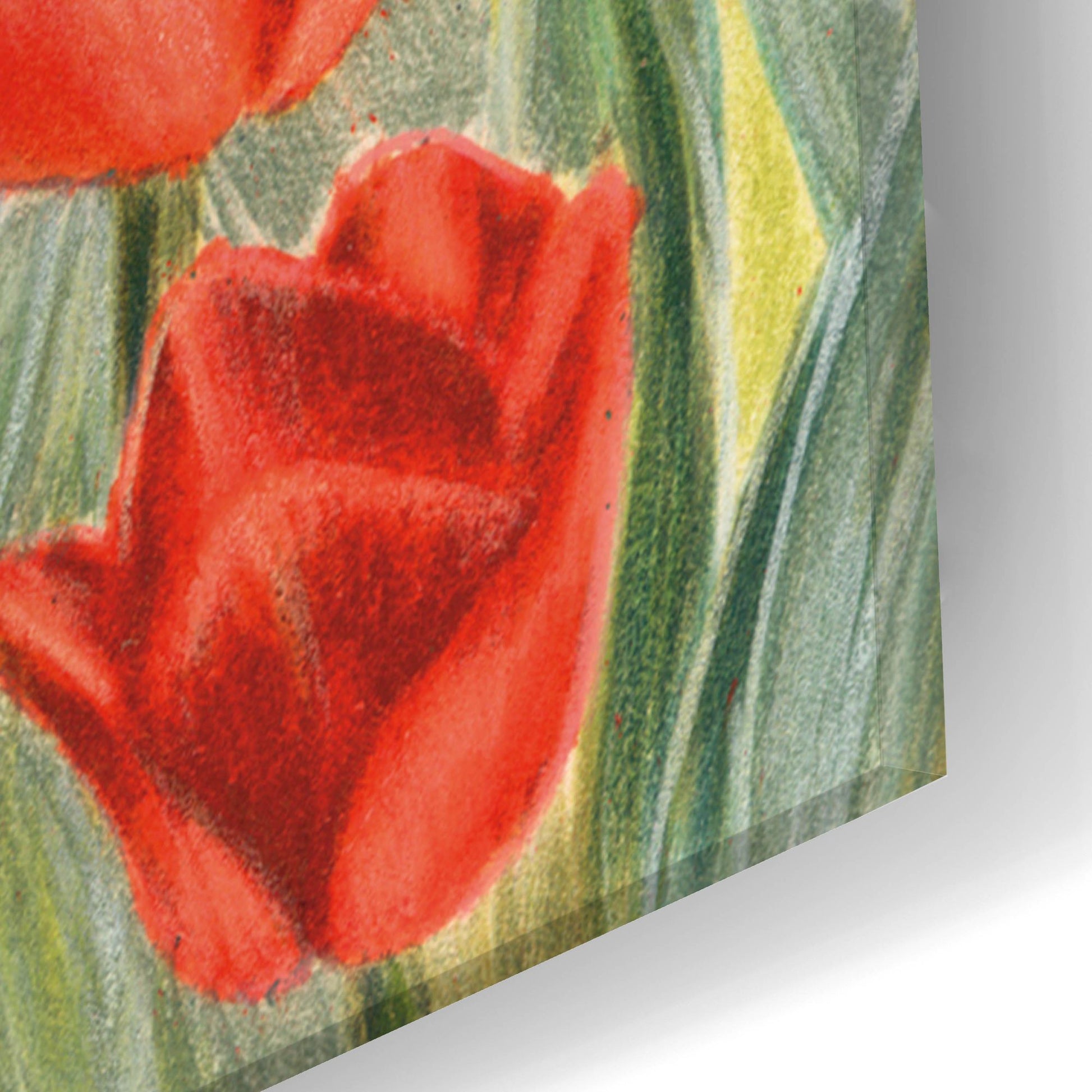 Epic Art 'Dachsund In Tulips' by Barbara Keith, Acrylic Glass Wall Art,16x24