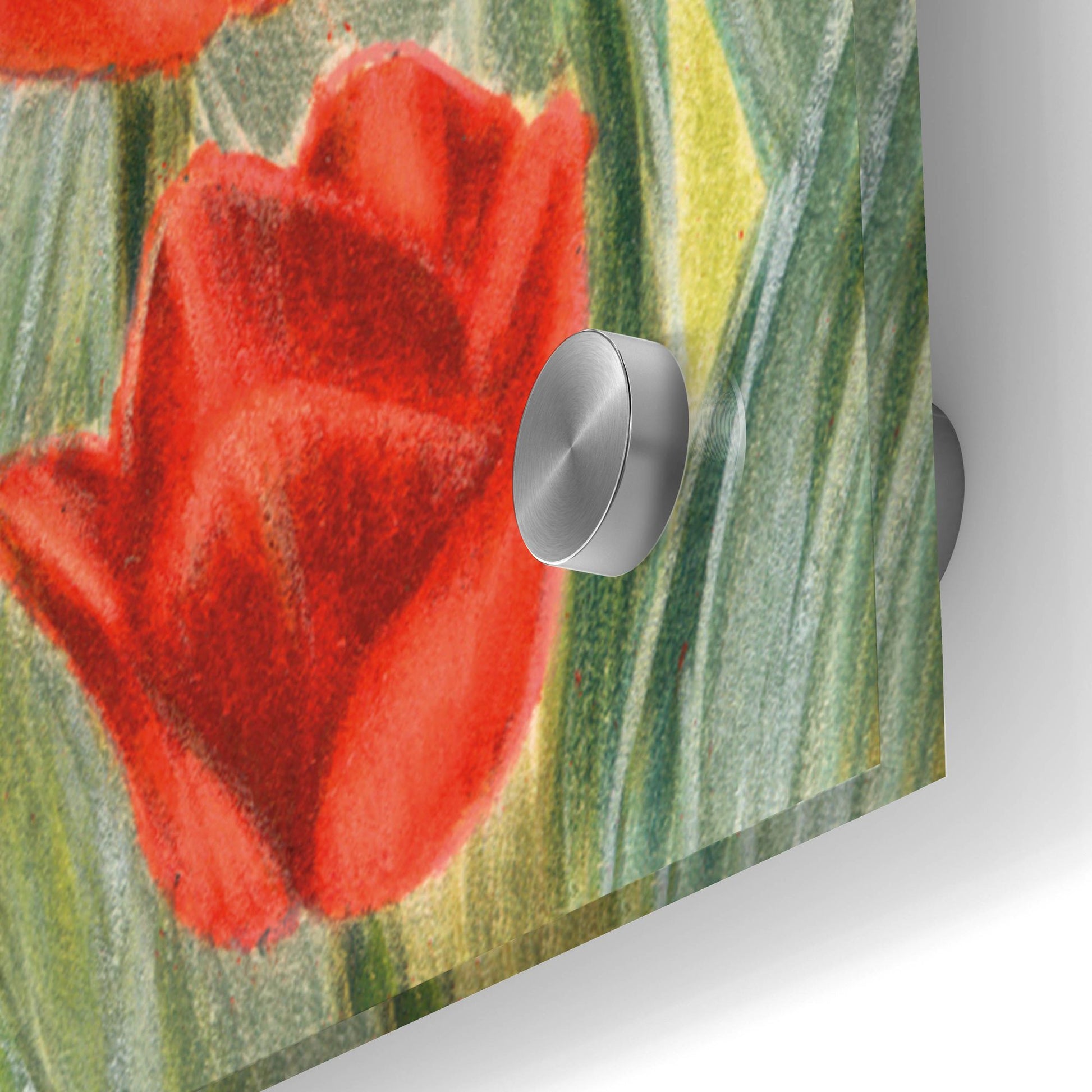 Epic Art 'Dachsund In Tulips' by Barbara Keith, Acrylic Glass Wall Art,24x36