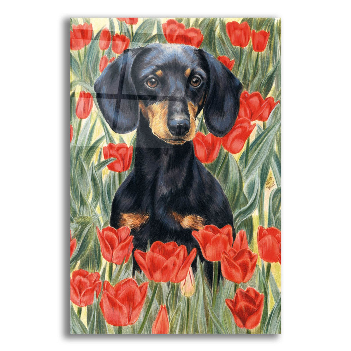 Dachsund In Tulips by Barbara Keith acrylic glass wall art